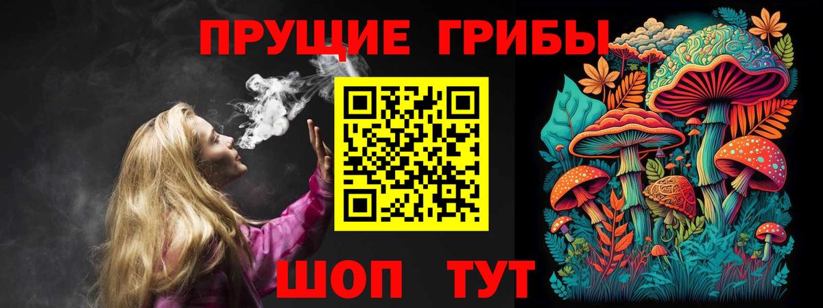 Галлюциногенные грибы Cubensis  Вход с VPN  Заволжье 